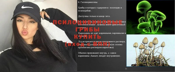 бошки Алексеевка