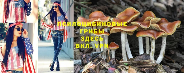 бошки Алексеевка