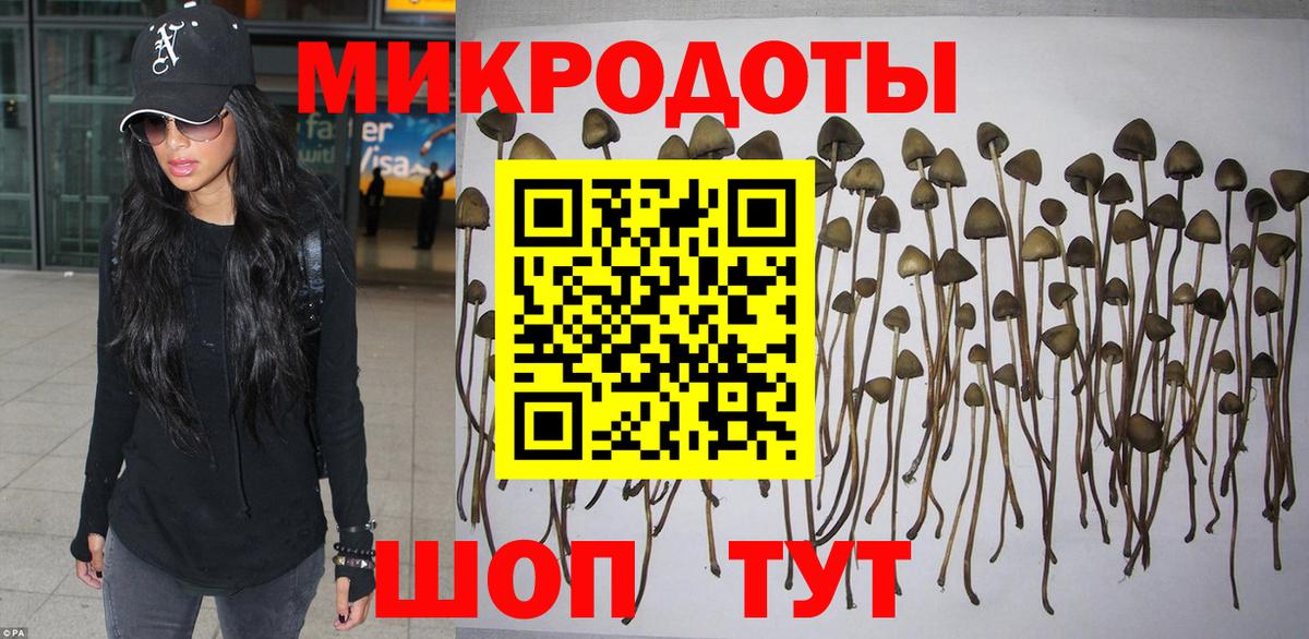 Галлюциногенные грибы MAGIC MUSHROOMS  Вход с VPN  Галлюциногенные грибы Cubensis  Чистополь 